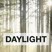 Daylight artwork