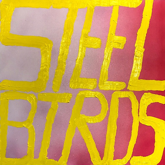 Cover artwork for Steel Birds