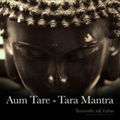 Aum Tare: Tara Mantra artwork