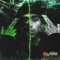 Battlefield (feat. TC Low) - 14k lyrics