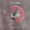 It's a Yes - EP, 2023