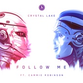Follow Me (feat. Cammie Robinson) [Extended Mix] artwork