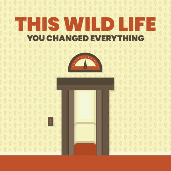 Cover artwork for You Changed Everything