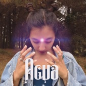 Agua (feat. Seba Enlace) artwork