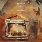 Microwave - Part of It