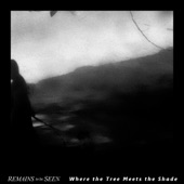 Where the Tree Meets the Shade - Single