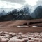 Call the Herd - Bonnie Grace lyrics