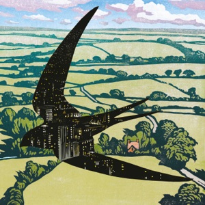 Sleep On The Wing Artwork