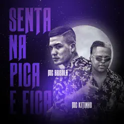 Senta Na Pica e Fica - Single - MC Brisola Senta Na Pica e Fica - Single - MC Brisola