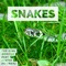 Snakes (feat. Austin Fillmore) - Th3 Real Noriega lyrics