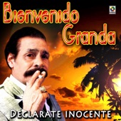 Declarate Inocente artwork