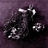 Saint John's Eve - Single