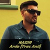 Arde (Trec Anii) - Single