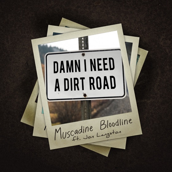 Cover artwork for Damn I Need a Dirt Road (feat. Jon Langston)