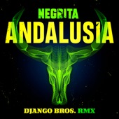 Andalusia (Django Bros Remix) artwork