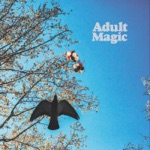 Adult Magic - The Other Side