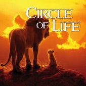 Circle of Life artwork