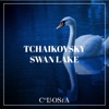 Tchaikovsky Swan Lake - Single