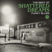 The Best of Shattered Dreams artwork