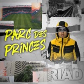 Parc des princes artwork