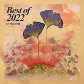Best of 2022 (Extended Mixes) - Varios Artistas