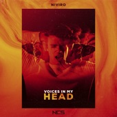 Voices in My Head artwork