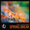 Spring Break - imagiro, Devon Rea & Funcc. lyrics
