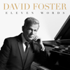 David Foster - Eleven Words artwork