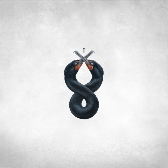 Cover artwork for The Cormorant