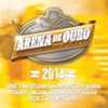Arena de Ouro 2014, 2014