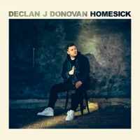 Declan J Donovan - Homesick artwork