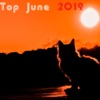 Top June 2019