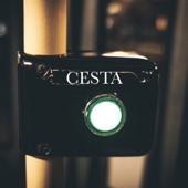 Cesta artwork