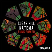 Funk Power artwork