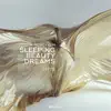 Music from Sleeping Beauty Dreams album lyrics, reviews, download