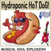 Musical Soul Explosion! album lyrics, reviews, download