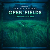 Open Fields artwork