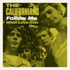 Follow Me / What Love Can Do - Single, 1967