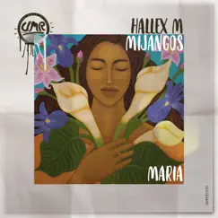Maria - Single by Hallex M & Mijangos album reviews, ratings, credits
