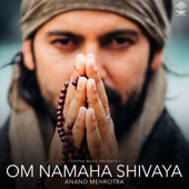 Om Namaha Shivaya artwork