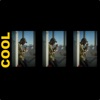 Cool - Single