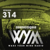 Wake Your Mind Radio 314 artwork