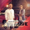 Ajshe (feat. Enur Pakashtica) - Single, 2019