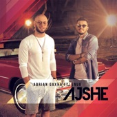 Ajshe (feat. Enur Pakashtica) artwork