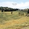Green Valley - Geva Alon lyrics