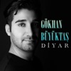 Diyar, 2019