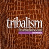 Tribalism, Vol. 6: The Urban House Sound