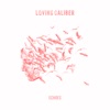 Loving Caliber Feat. Jonathan Kanat - Won't You Save Me