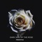 Dark Side of the Rose - Hybridbwoy lyrics