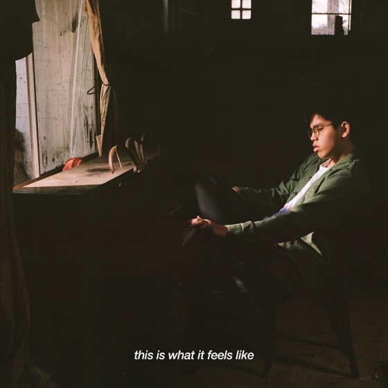 Cover artwork for this is what a rough childhood feels like